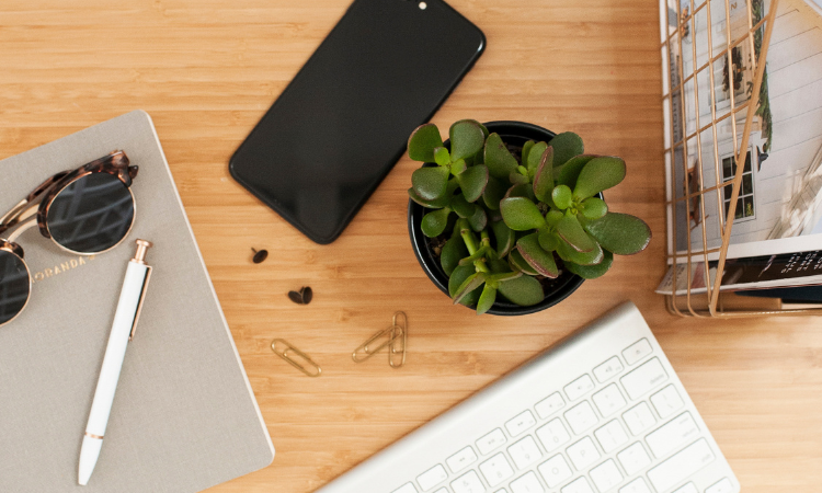 desk with a cell phone, plant, keyboard, notebook and mroe