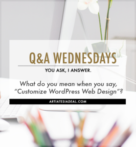 What is WordPress Customization?