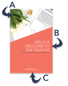 Example of a Blog Post Graphic Template | Shetalksbiz.com