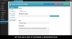 Screenshot of the Easy Coming Soon Plugin Setting Page