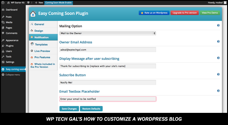 Screenshot of the Easy Coming Soon Plugin Setting Page Part2